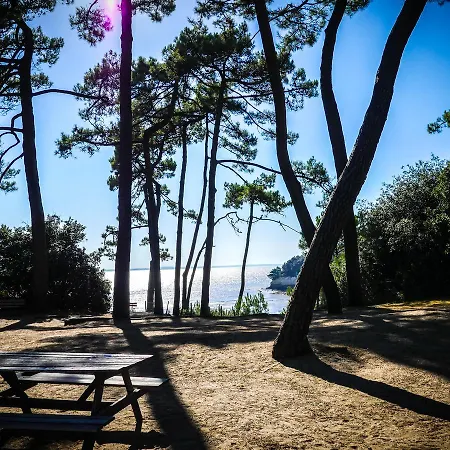 Ferienpark Village Passion L'arneche Meschers-sur-Gironde